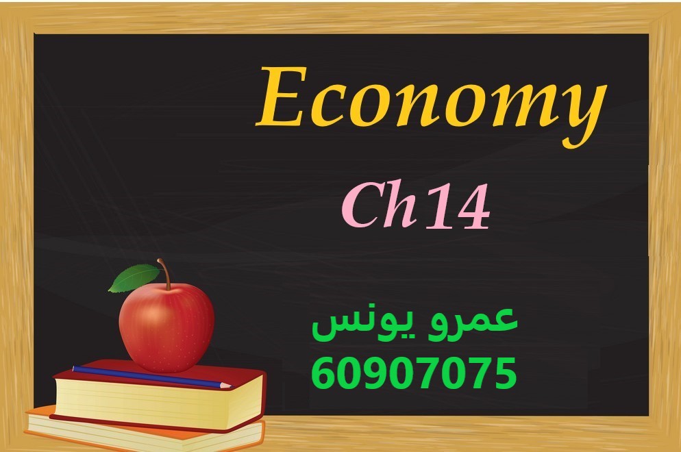 Economy - Chapter 14